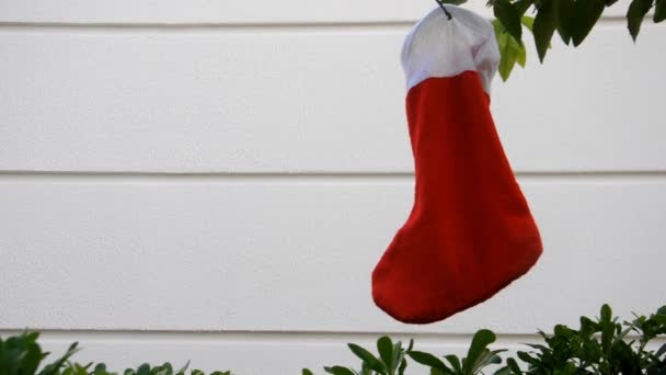 Xmass rote Socke auf dem Baum — Stockvideo