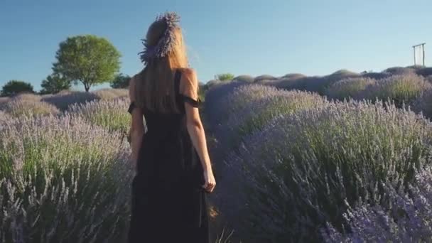 Молодая женщина в длинном черном платье ходит по лавандовому полю — стоковое видео