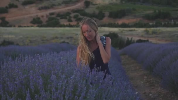 Fiatal nő hosszú sötét kék ruhában áll a levendulamezőn — Stock videók
