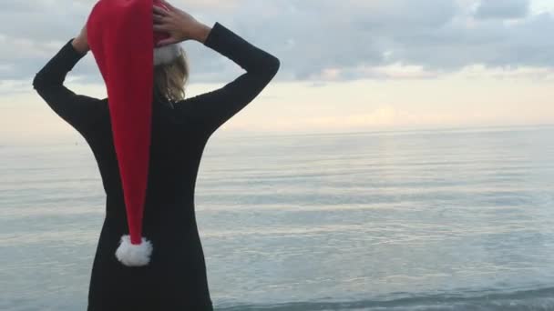 Woman in Santa hat looking at sea — Stock Video