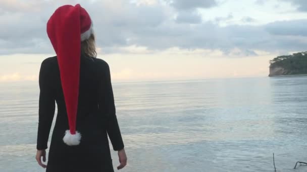 Woman in Santa hat looking at sea — ストック動画