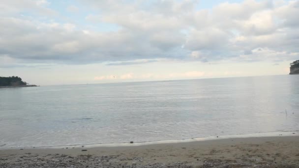 Young woman and Pomeranian Spitz in Santa hats running near the sea — Stock Video