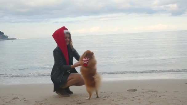 Wanita muda bermain dengan Pomeranian Spitz Keduanya di Santa topi — Stok Video