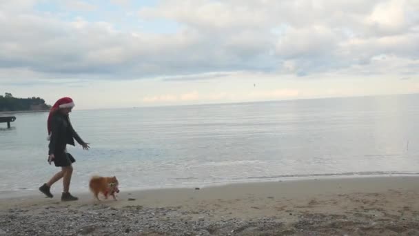 Young woman and Pomeranian Spitz in Santa hats running near the sea — Stock Video