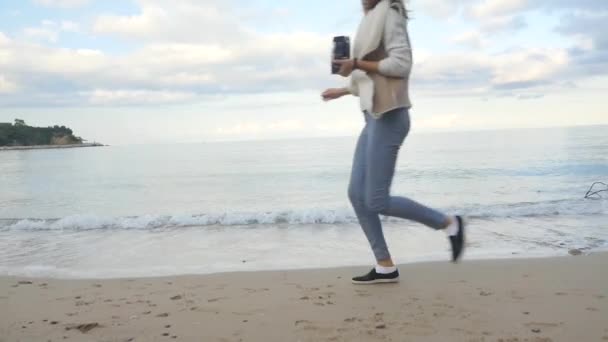 Pomeranian Spitz télapó kalapban fut a tenger közelében — Stock videók