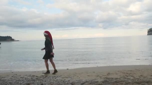 年轻女子和戴着圣诞礼帽的波美拉尼亚 · 斯皮茨在海边奔跑 — 图库视频影像