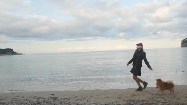 Pomeranian Spitz ile dans eden genç bir kadın. İkisi de Noel Baba şapkalı. — Stok video