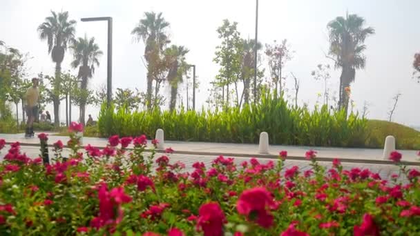 Uomo in pattinaggio a rotelle pattinaggio sulla strada parco della città — Video Stock