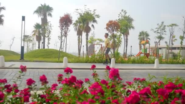 Hombre en patines patinaje sobre la carretera del parque de la ciudad — Vídeos de Stock