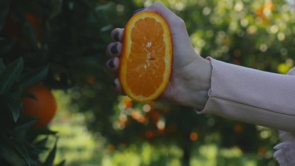 Женская рука сжимает апельсиновый сок — стоковое видео