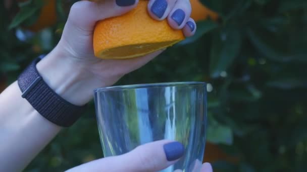 Womans mão espremendo suco de laranja — Vídeo de Stock