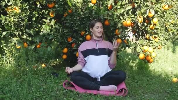 Молодая беременная женщина сидит под деревом расслабляясь — стоковое видео