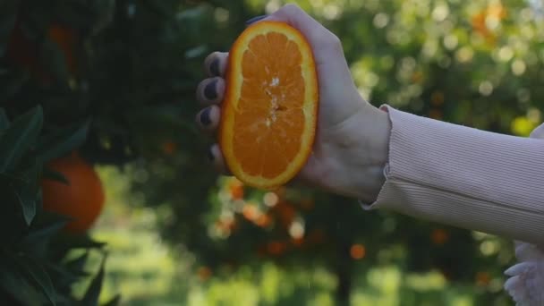 Mujeres mano exprimiendo jugo de naranja — Vídeo de stock