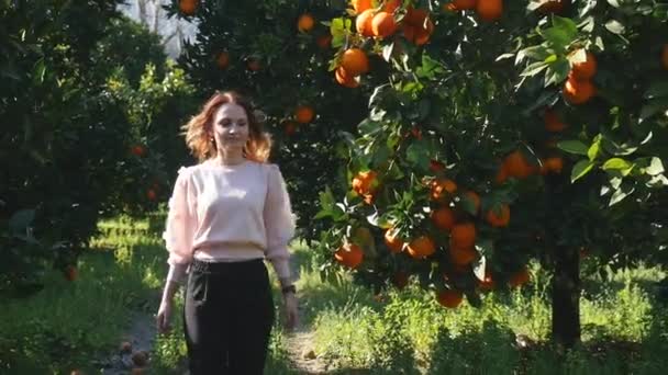 Jonge vrouw wandelen in oranje tuin aanraken van fruit — Stockvideo