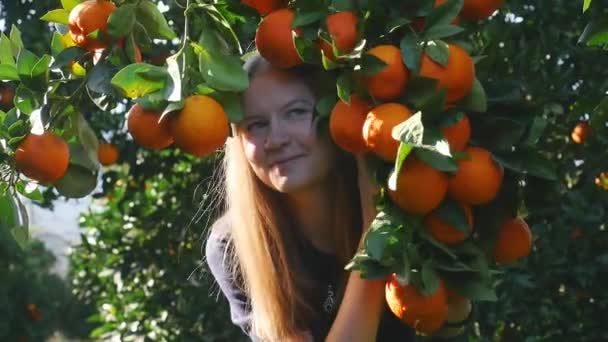 Jovem mulher olhando para fora ramos laranja — Vídeo de Stock