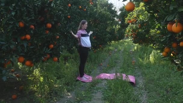 Mulher grávida fazendo exercícios de alongamento ao ar livre — Vídeo de Stock