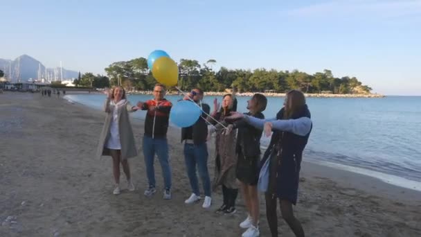 Friends having fun together outdoors — Stock Video