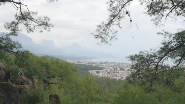 Joven niño caminando solo — Vídeos de Stock