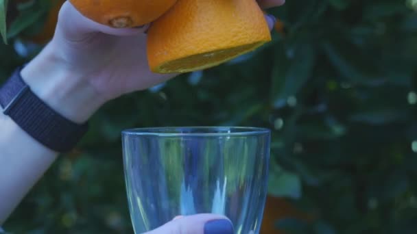 Женская рука сжимает апельсиновый сок — стоковое видео