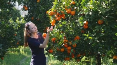 Turuncu bahçede meyve toplayan genç bir kadın.