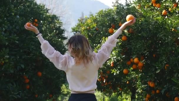 Mujer joven sosteniendo frutas naranjas vista trasera — Vídeos de Stock