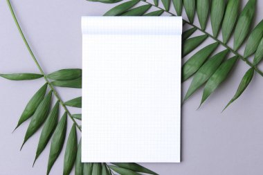 Palmiye yaprakları ve bir kağıt defter metin için boş alan ile. Minimalizm, tasarım, fikir.