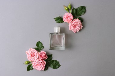 bir şişe parfüm pastel bir arka plan üzerine gül bileşimi ile. Kadınlar için koku. Minimalizm, tasarım, fikir.