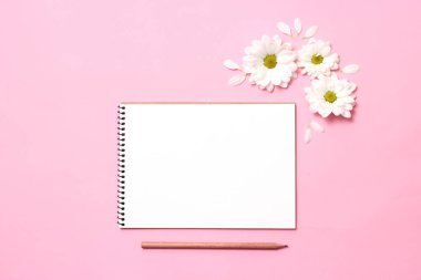 metin için yer pastel bir zemin üzerine çiçek kompozisyon. minimalizm, tasarım için en iyi görünümü boş. Doğum günü, anneler günü, tatil, Bahar, 8 Mart. düz lay