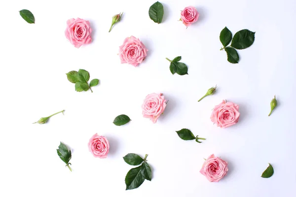 Roses Étalées Chaotiquement Sur Fond Blanc Avec Une Ombre Une — Photo