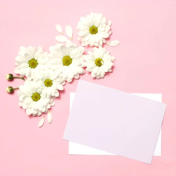 floral composition on a pastel background with space for text. minimalism, blank for design, top view. Birthday, Mother\'s Day, Holiday, Spring, March 8. flat lay