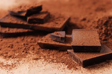 kakao çikolata parçaları.