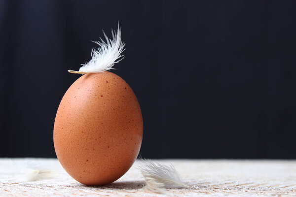 chicken egg with feathers. Healthy food.