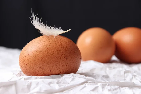 Κοτόπουλο Αυγά Και Φτερά Ένα Όμορφο Φόντο — Φωτογραφία Αρχείου