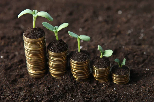 地上成堆的金币和绿色的新鲜芽 现金收入增长概念 — 图库照片