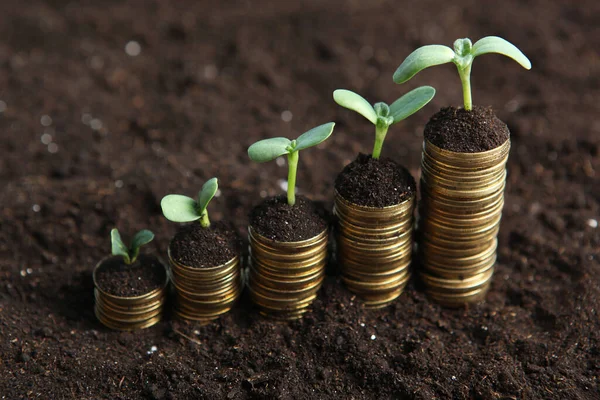 Piles Gold Coins Ground Green Fresh Sprouts Cash Income Growth — Stock Photo, Image