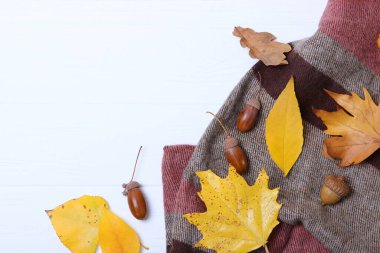 Sonbahar kompozisyonu ve sonbahar yaprakları