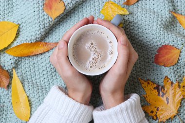 Sonbahar kompozisyon üst görünümü. Ellerde ve sonbahar yapraklarında bir fincan kahve