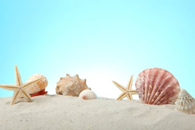 Kum, kabuk ve deniz yıldızı mavi bir zemin üzerinde metin için yer var. Tatiller, deniz, seyahat kavramı