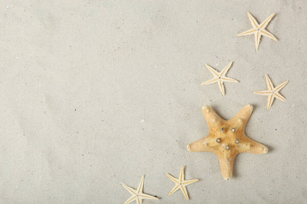 sand, shells and starfish top view with place for text. Travel, sea, vacation concept.