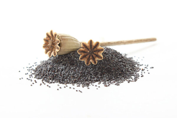 poppy seeds isolated on white