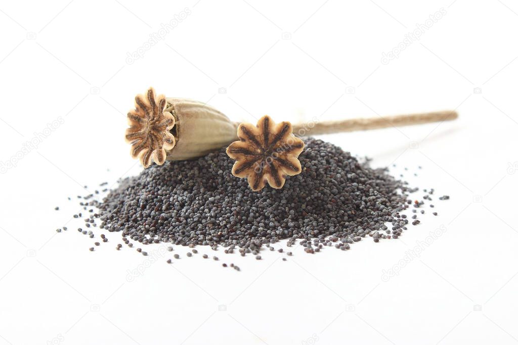 poppy seeds isolated on white
