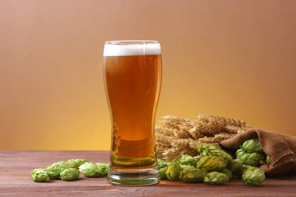 Bier Weizen Und Hopfen Auf Dem Tisch — Stockfoto