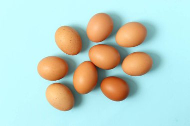 Renkli arka planda tavuk yumurtası. Çiftlik ürünleri, doğal yumurtalar..