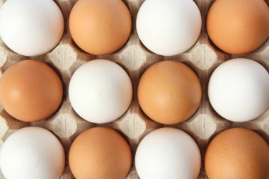 Renkli arka planda tavuk yumurtası. Çiftlik ürünleri, doğal yumurtalar..