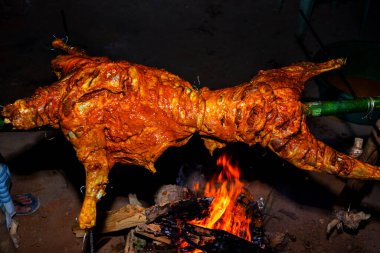 Bambuların içinde sallanarak bütün keçiyi kavurarak geleneksel olarak geceleri ateş altında tutarak..