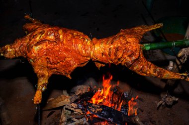Bambuların içinde sallanarak bütün keçiyi kavurarak geleneksel olarak geceleri ateş altında tutarak..