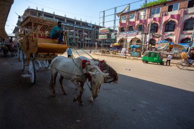 At arabasının şoförü, Dhaka 'da koronavirüs hapsi altında hayat boyu yolcusunu bekliyor. Bangladeş 30 Mart 2020