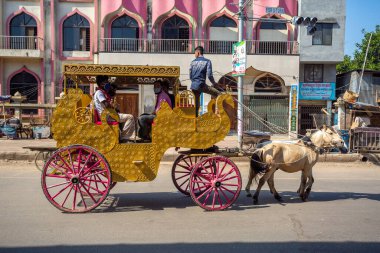 At arabasının şoförü, Dhaka 'da koronavirüs hapsi altında hayat boyu yolcusunu bekliyor. Bangladeş 30 Mart 2020