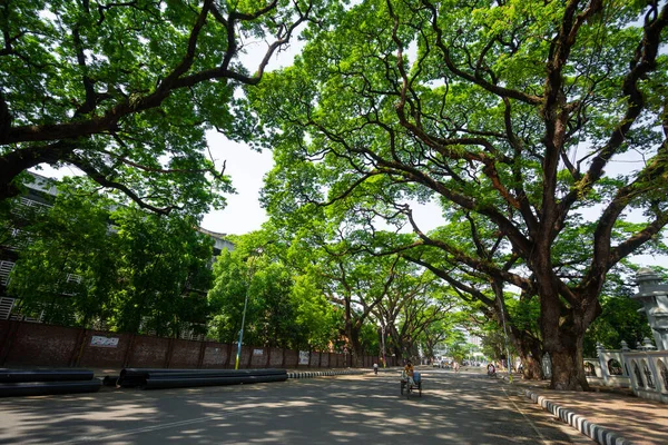 Ulice Univerzitního Kampusu Dhaka Jsou Prázdné Sevření Koronaviru Dháce Bangladéši — Stock fotografie