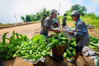 Tepedeki kabile işçileri tarlalardan taze sebzeler depoluyor ve onları Bandarban, Bangladeş 'teki pazara göndermek için paketliyorlar..